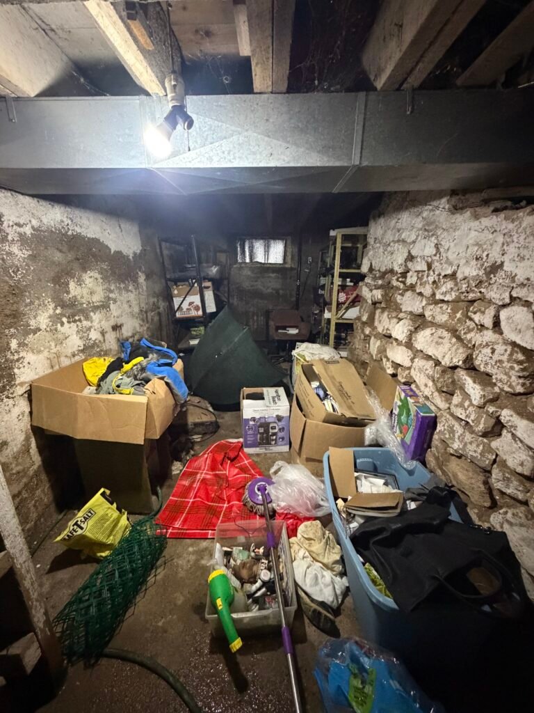 Basement Clean Out — before